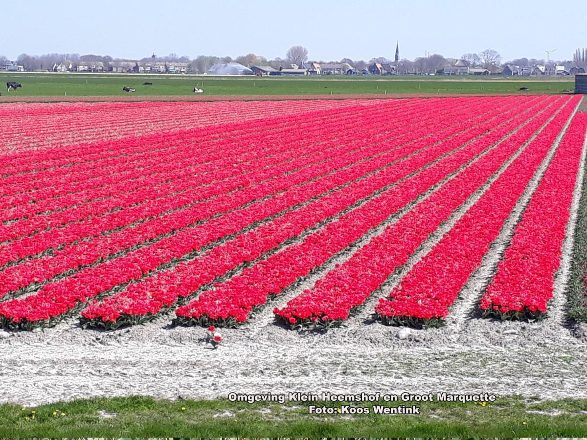 Klein Heemshof - Noord Holland Aan Uw Voeten Warmenhuizen Exterior foto